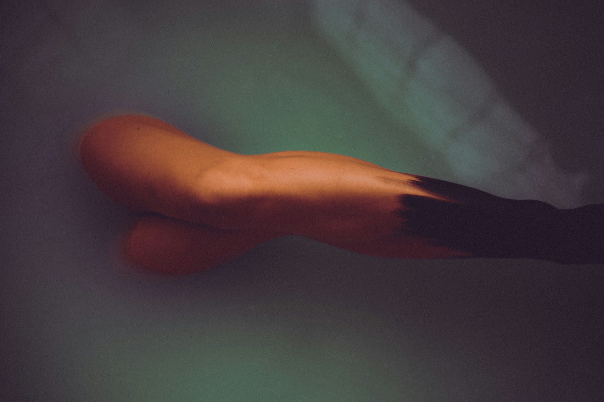 Misty Morse's body was recovered in a terrible state (Image by Timothy Dykes/Unsplash)